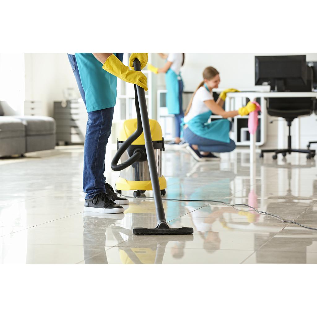 Regular maintenance of 100m2 offices 5 times a week