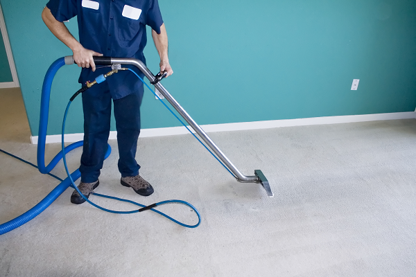 Professional steam cleaning of carpet