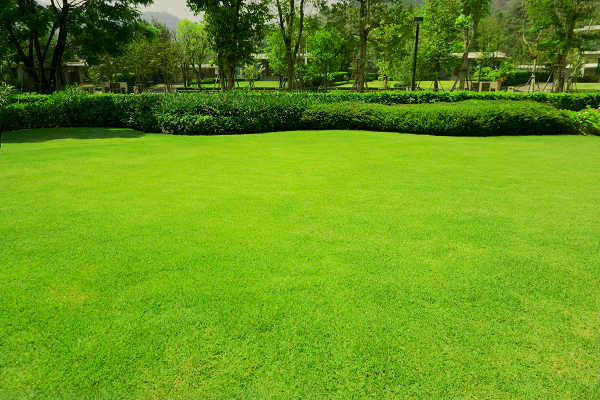 Recurring lawn mowing service