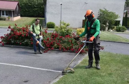 Jaarlijks volledig onderhoud van de groenzones van een mede-eigendom – 500 m² (10 beurten)