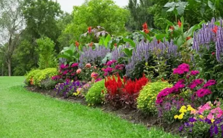 Creation of a mixed ornamental bed with shrubs and perennials