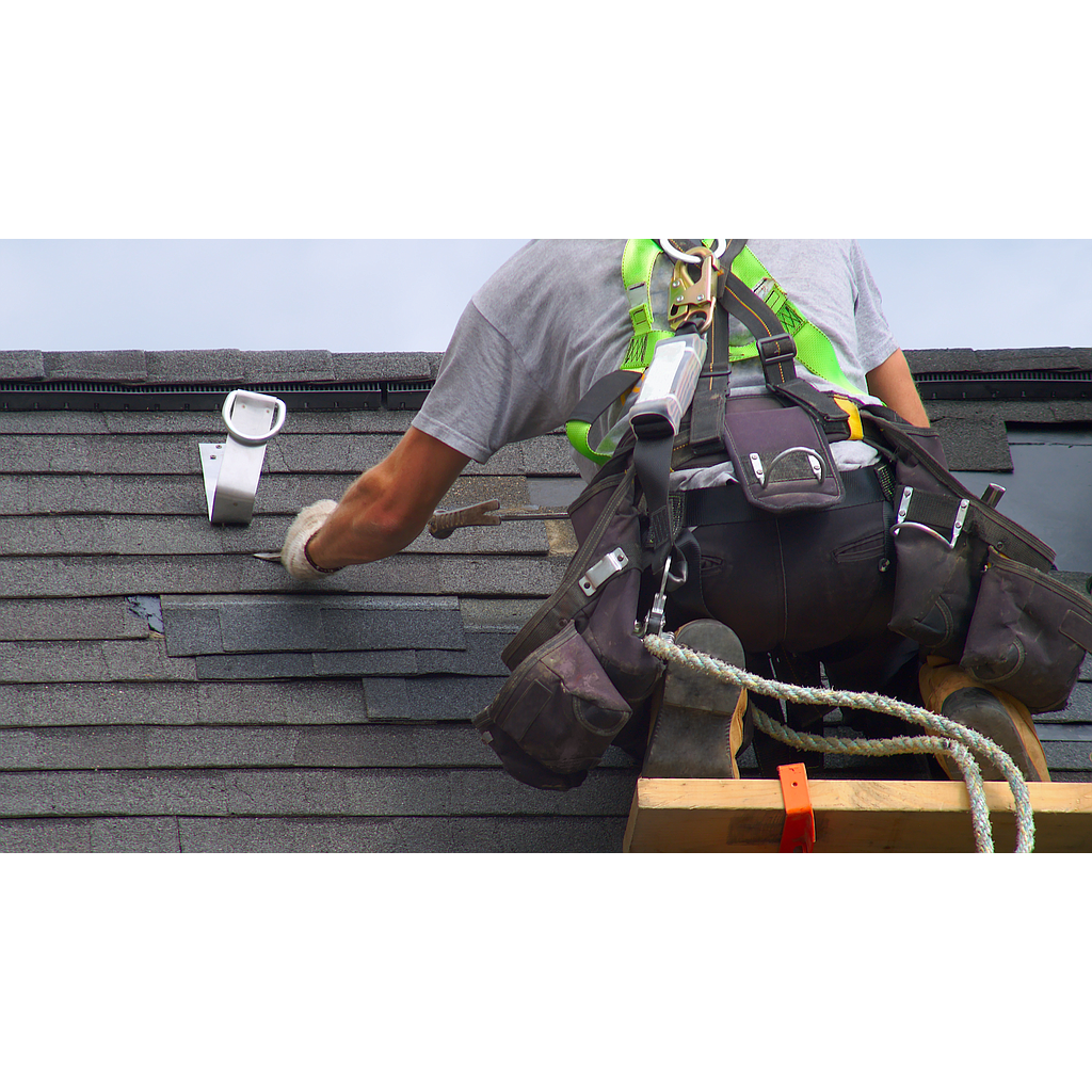 Complete renovation of a roof