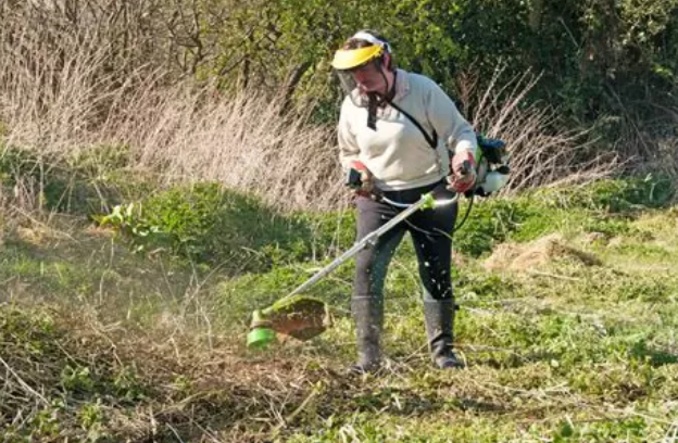 Brush clearing and site restoration – 5000 m²