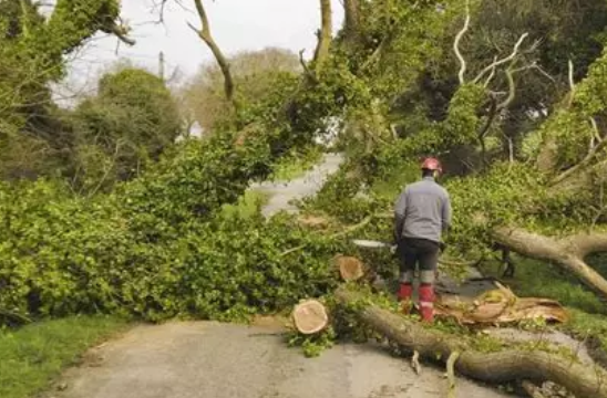 Emergency intervention after storm
