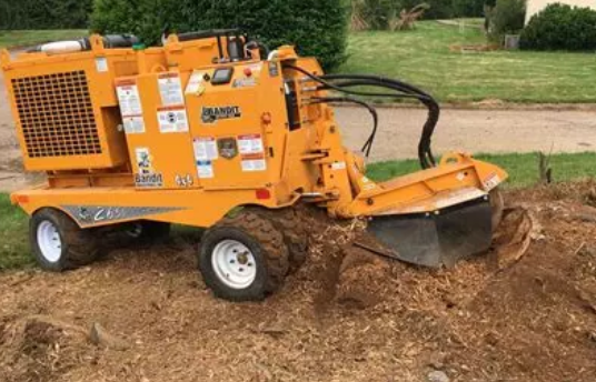 Removal and stump grinding
