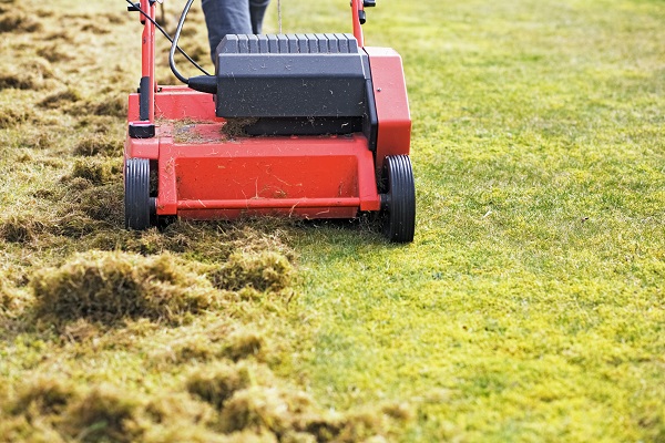 Scarification and fertilisation of a 100m² lawn