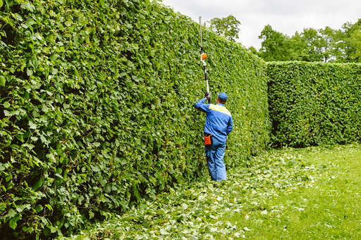 Structural hedge trimming
