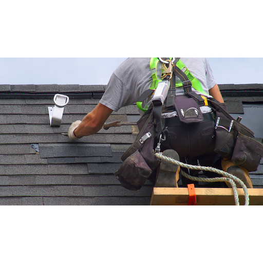 Complete renovation of a roof