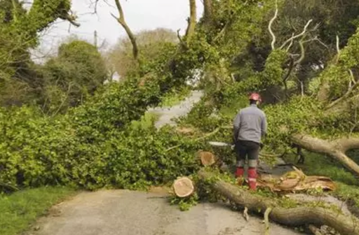 Intervention d’urgence suite à tempête