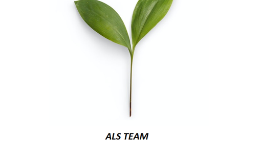 ALS TEAM